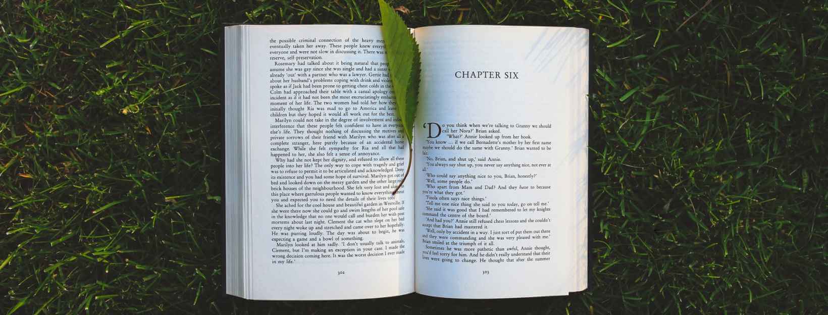 Book 2 Publish Blog | Book Writing Ideas
